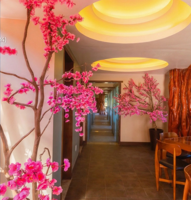 Corredor interno real do SPA